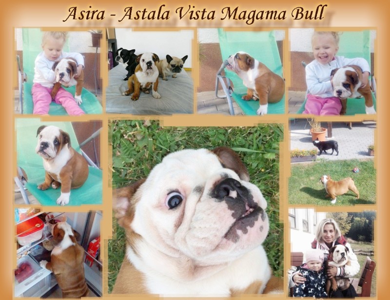 Astala Vista